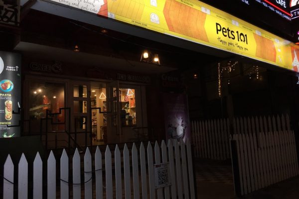 Pets 101 Besant nagar