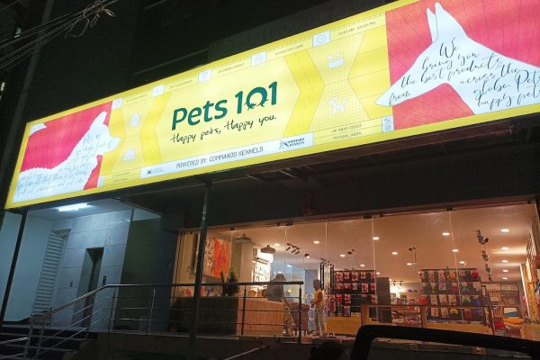 pets 101 Gachibowli